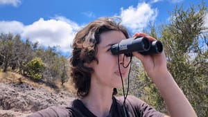Still here: California condors